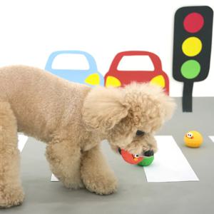 봉봉 컬러볼 라텍스 강아지 공 장난감