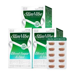 슬림바이브 혈당&다이어트 체지방감소 녹차카테킨 60정 3개