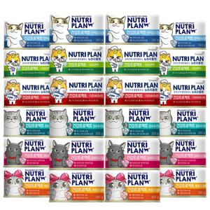 대용량 고양이캔 건강프로젝트 160g x 48캔 6종 골라담기 고양이간식