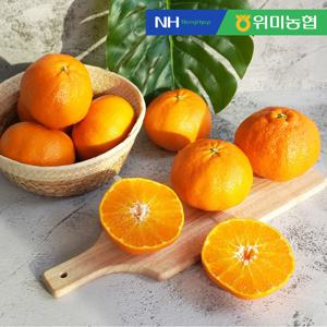 제주위미농협 레드향 선물세트 5kg (10-25입)