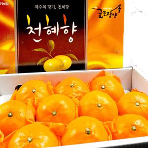 제주위미농협 고당도 천혜향 선물박스 3kg (9-15과)