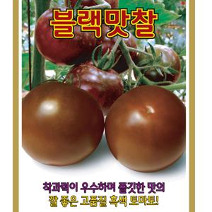 흑토마토씨앗 블랙맛찰 10립 완숙토마토 씨앗