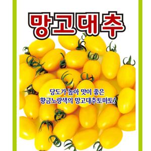 대추방울토마토씨앗 망고대추 10립 당도높은 미니토마토씨앗