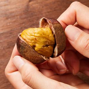 25년 출하 홀딱 벗겨지는 포르단밤 칼집밤 특 1kg