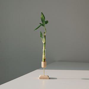 개운죽 플로팅 수경베이스