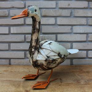 치아프리카 거위 Goose