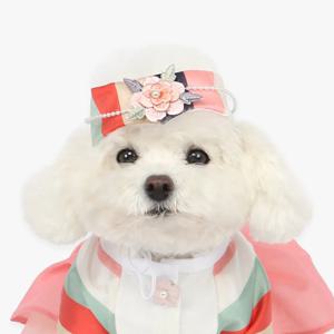 지안 색동 아얌