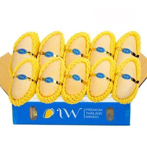 태국 남독마이 골드망고 5kg(10-16과)