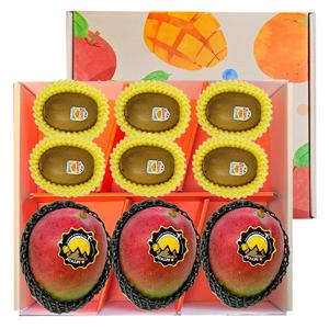 골드키위 6입 + 애플망고 3입 혼합 선물세트 2kg 내외