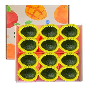 프리미엄 아보카도 12입 선물세트 (칠레산)