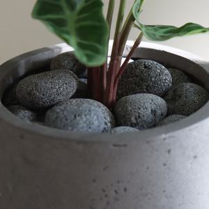 데코 식재 라바스톤 3kg