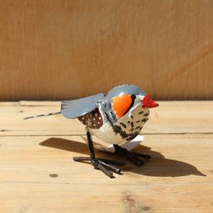 치아프리카 금화조 Zebrafinch