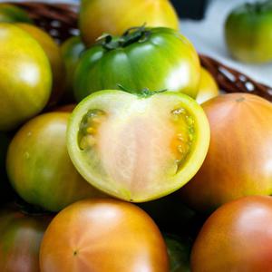 대저 짭짤이 짭잘이 토마토 500g 1kg 2.5kg