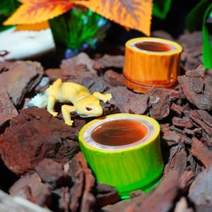 곤충젤리 대나무 먹이목 접시 2종 세트