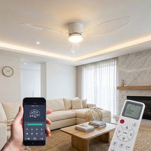 IoT 에어룩스 V2 리퀴드 투명 실링팬 BLDC 모터 저소음 저전력 리모컨포함