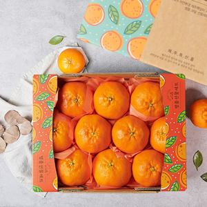 제주 레드향 1.6kg 10-12과 과일선물세트