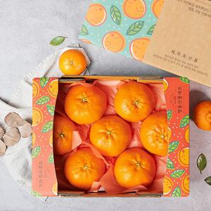 제주 레드향 1.6kg 6-9과 과일선물세트