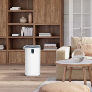 가정용 미세먼지 제거 공기청정기 C28P02-B 양방향 E11 복합 필터