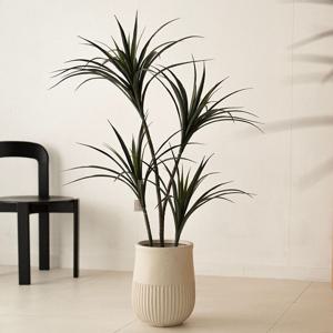 드라세나 드라코 인테리어 조화나무 2sizes