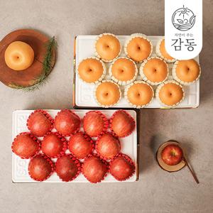 나주배 5kg 9-10과+사과 3kg 10-12과 실속세트