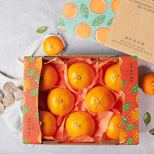 제주 천혜향 1.6kg 6-9과 과일선물세트