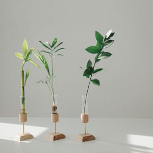 개운죽 플로팅 수경베이스 3종