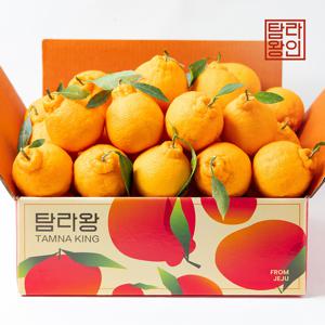 제주 탐라왕 고당도 한라봉 4kg