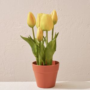 리얼터치 미니 튤립화분 x5 24cm 옐로우