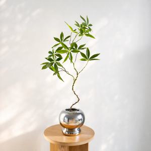 파키라 조화 나무 실버 화분 금전수화분 집들이 선물