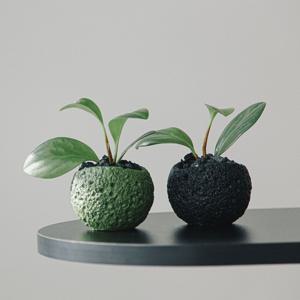 청페페 테라스톤볼