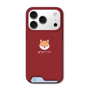 아칸 멀바시바 맥세이프 인서트 케이스