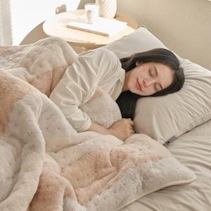 프리미엄 전기담요 전기요 FE242N 허니베이지 대형