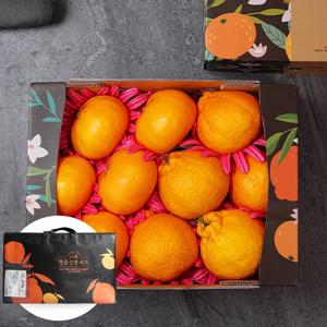 부직포가방포장_혼합과일 천혜향+한라봉 총10-14과 3kg 혼합과일 선물세트