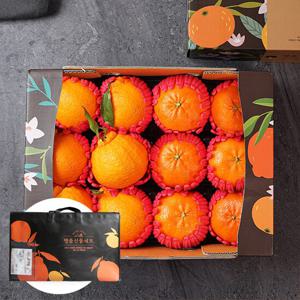 부직포가방포장_혼합과일 레드향+한라봉 총10-14과 3kg 혼합과일 선물세트