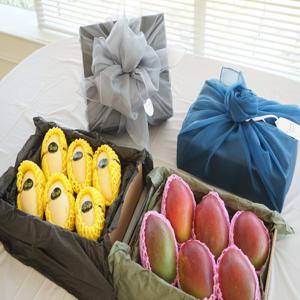 항공직송 프리미엄 골드망고 애플망고 설 명절 과일 선물세트(6입)