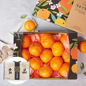 부직포가방포장 제주 레드향 2.6kg 10-14과 과일선물세트