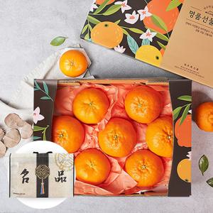 부직포가방포장 제주 레드향 2.6kg 6-9과 과일선물세트