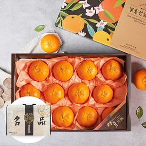 부직포가방포장 제주 레드향 4.5kg 10-14과 과일선물세트