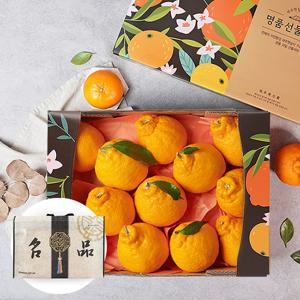 부직포가방포장 제주 한라봉 2.6kg 12-14과 과일선물세트