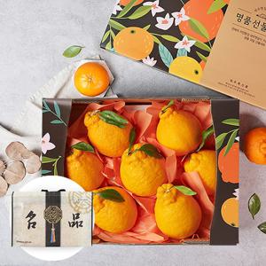 부직포가방포장 제주 한라봉 2.6kg 6-8과 과일선물세트