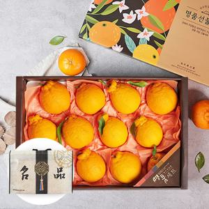 부직포가방포장 제주 한라봉 4.5kg 10-14과 과일선물세트