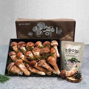 곡성 무농약 참송이버섯 선물세트 (생송이700g,칩2봉)