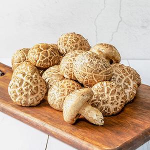 도담 표고버섯 프리미엄 1kg 선물세트