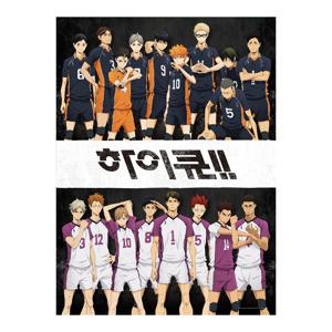 하이큐 3기 카라스노 VS 시라토리자와 500피스 DF-H05-077