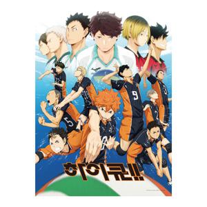 하이큐 1기 끝과 시작 500피스 DF-H05-076