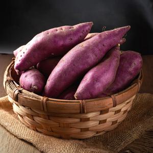 햇 황토 세척 꿀 고구마 달콤한 베니하루카 에어프라이어 특상 로얄사이즈