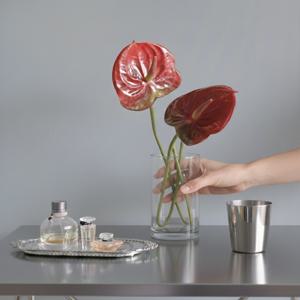 레드드 안시리움 조화 가지