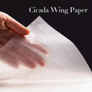 TEMU 고품질 수제 쌀지 40매, 매우 얇은 드로잉 용지, 서예, 그림, 공예에 적합 - 튼튼하면서도 가벼움.