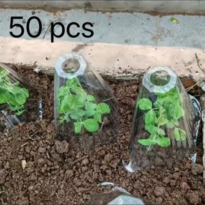 TEMU 50개 재사용 가능한 투명 플라스틱 식물 보호대 - 얼음 방지, 새, 달팽이 등 보호, 싹과 식물 보호, 정원 콘, 식물 보호망