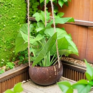 TEMU 천연 코코넛 쉘 행잉 플랜터 - 라운드 폴리쉬 화분 + 로프 행거 / 허브, 다육식물, 소형 나무용 야외 화분 - 러스틱 코코넛 쉘 플랜터 박스 (코코넛 코이어 섬유 멀치 호환)